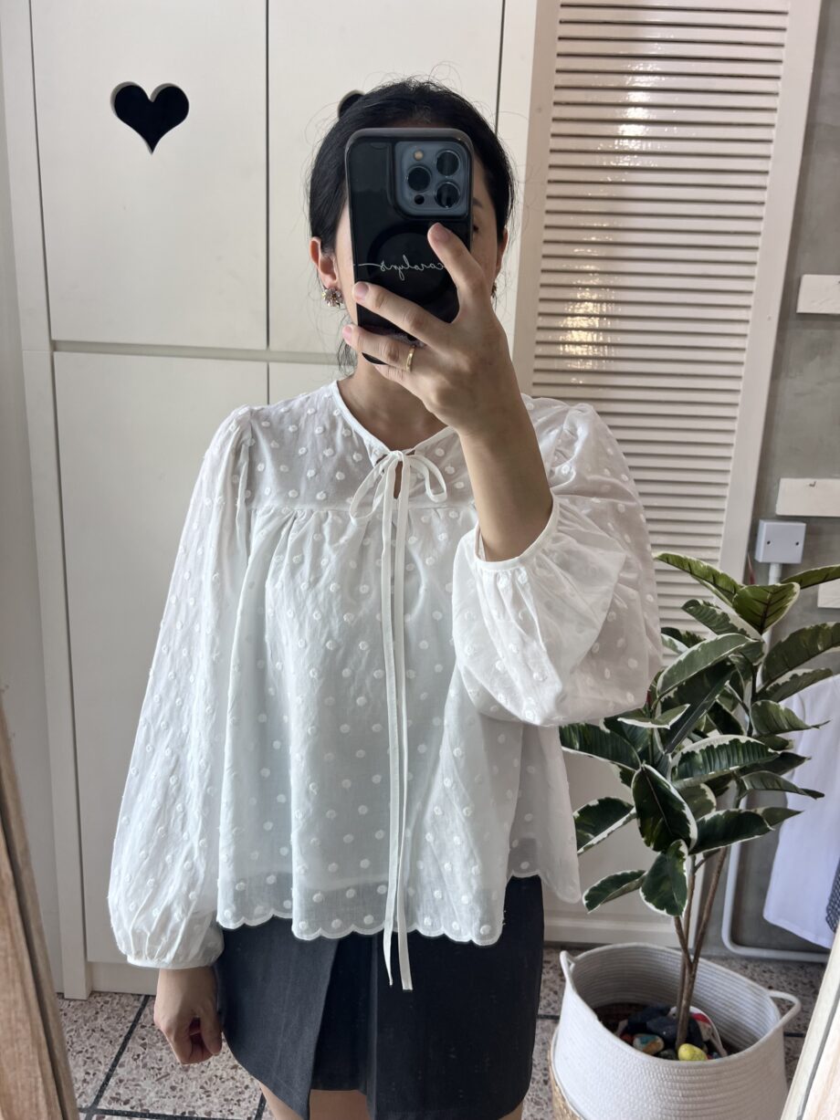 Textured Sheer Tie-Neck Blouse